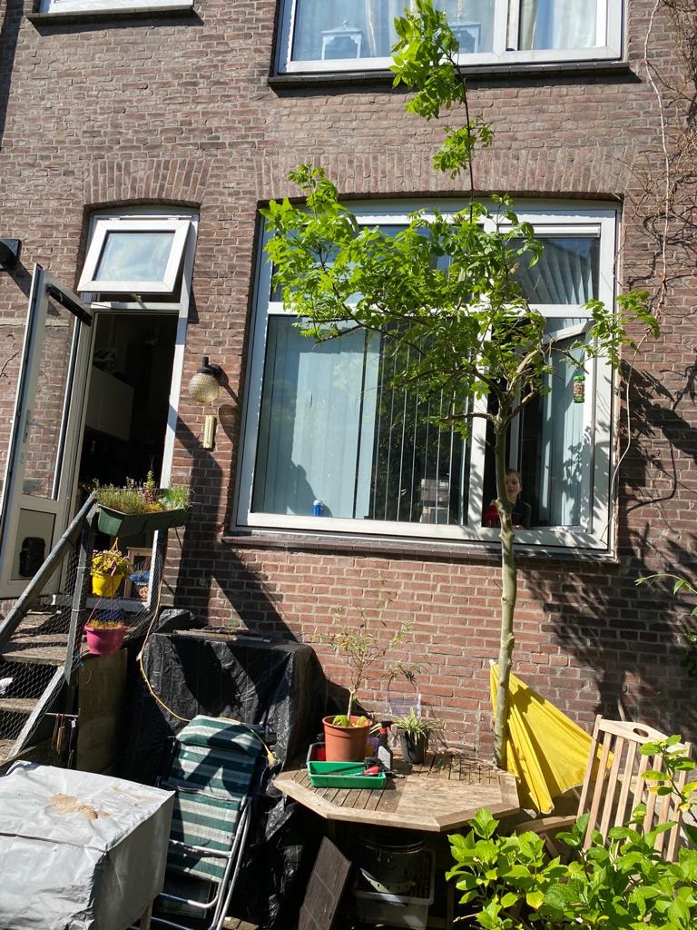 Schiebroeksestraat-30-rdam-03